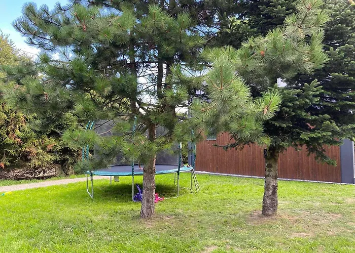 Domki Pod Orzechem 2 * ساسينو